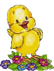 Gif animé Pâques poussin